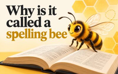 Why Is It Called a Spelling Bee? The Surprising Origin Explained